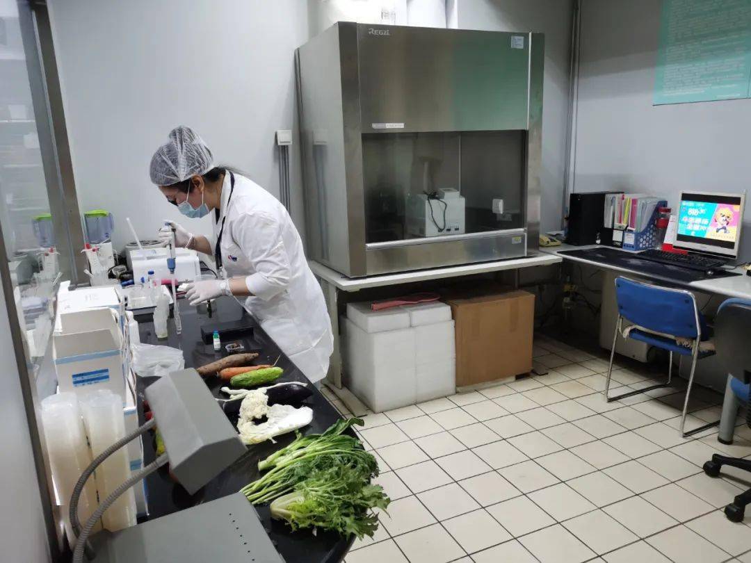 市中食品检测实验室装修方案